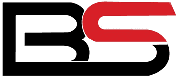 Bnslogonew